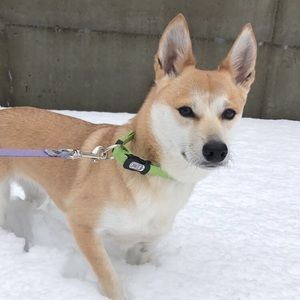 Meet your Posher, Kellie